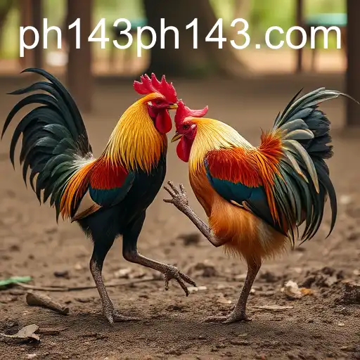 Exploring the Fascination with Sabong Games